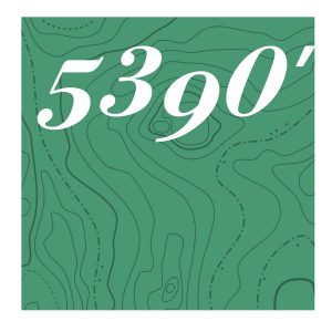 5390' Logo