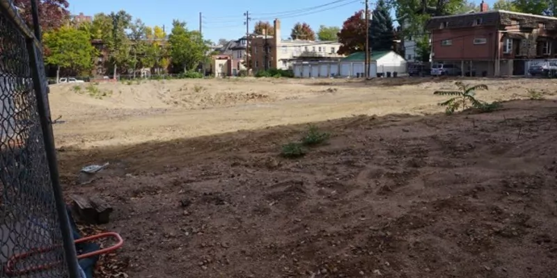 Vine empty lot