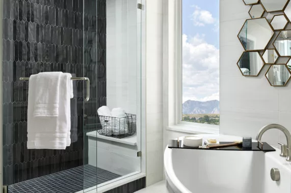 Modern bathroom with glass shower and freestanding bathtub