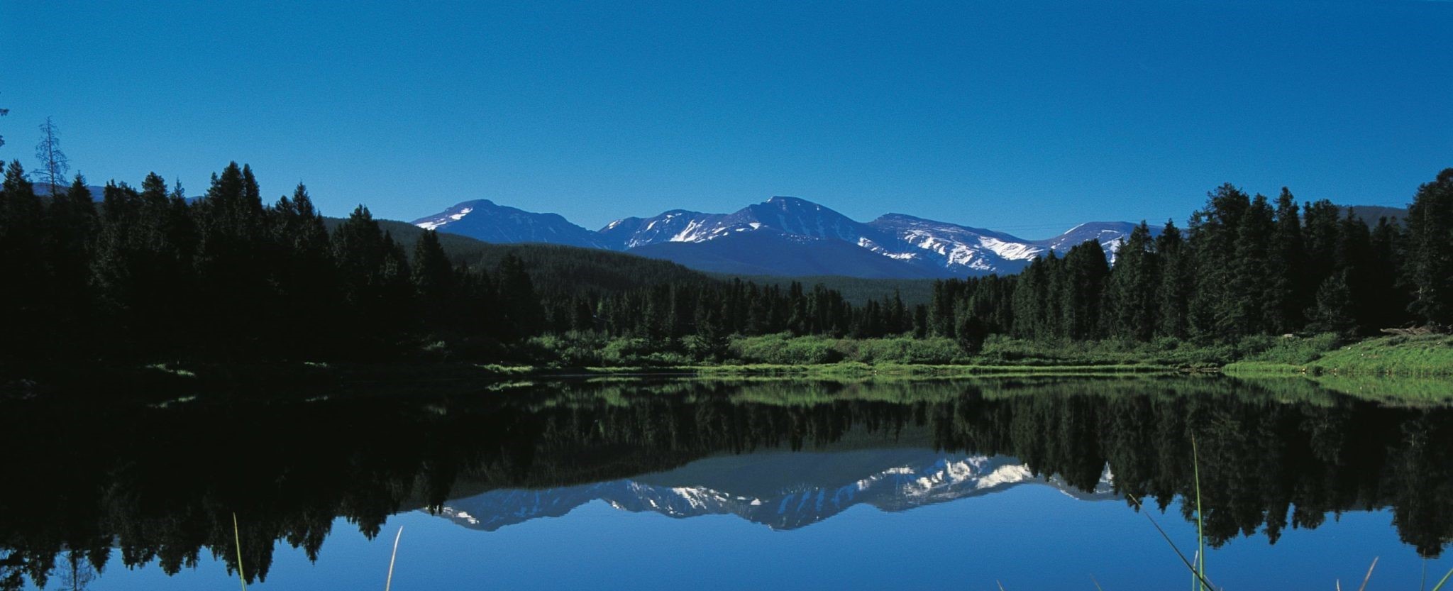 A shot of Marys Pond